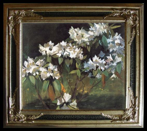 framed  William Stott of Oldham White Rhododendrons, Ta123-3